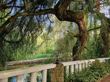 Moulin du Vey